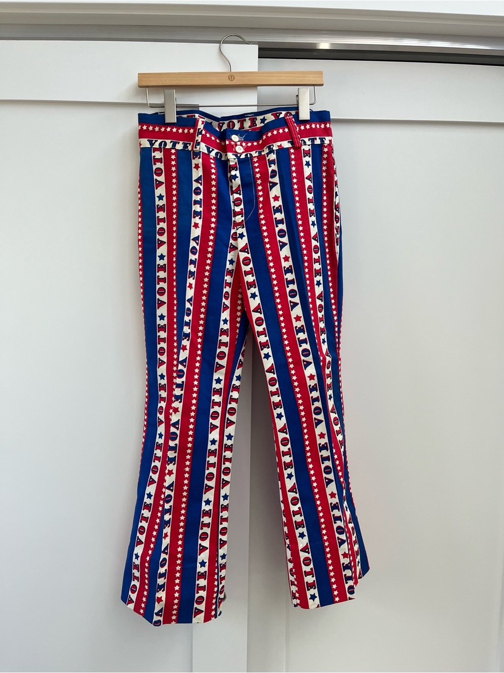 Vote pants